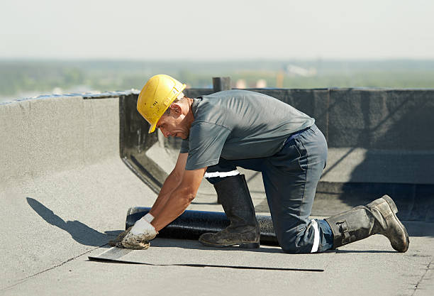 Best Cellulose Insulation  in Conyngham, PA