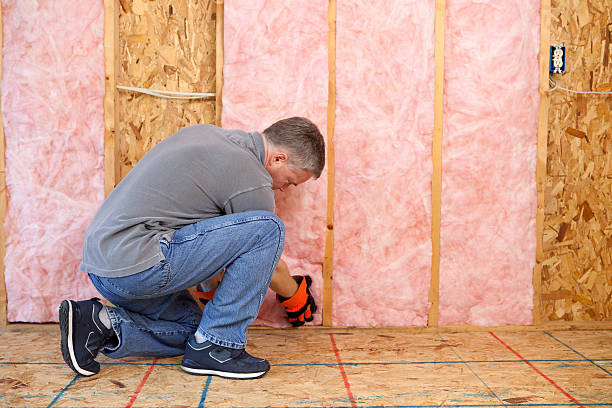 Best Insulation Repair Services  in Conyngham, PA