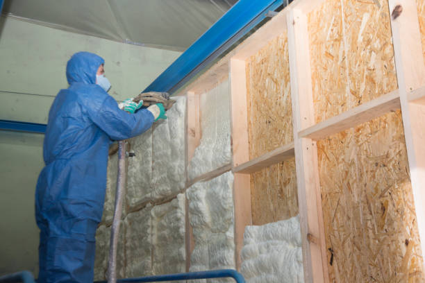 Best Home Insulation Services  in Conyngham, PA